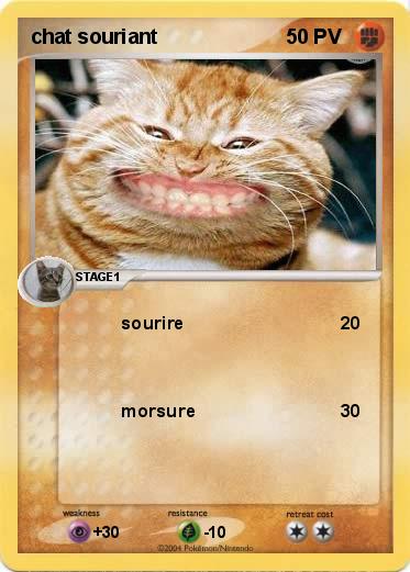 Pokemon chat souriant