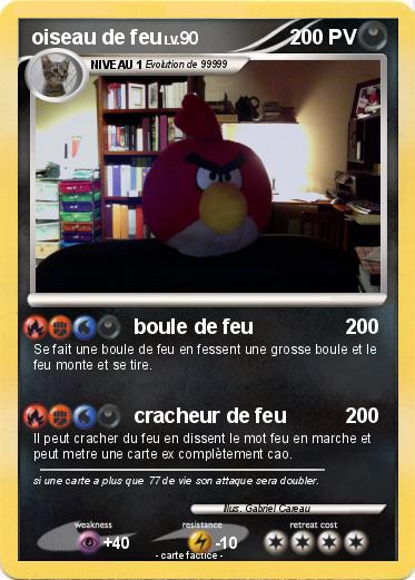 Pokemon oiseau de feu