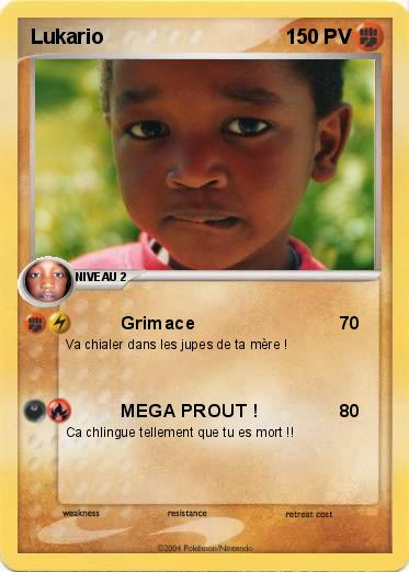 Pokemon Lukario