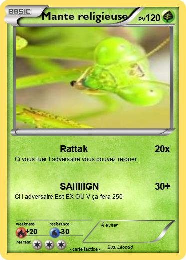 Pokemon Mante religieuse