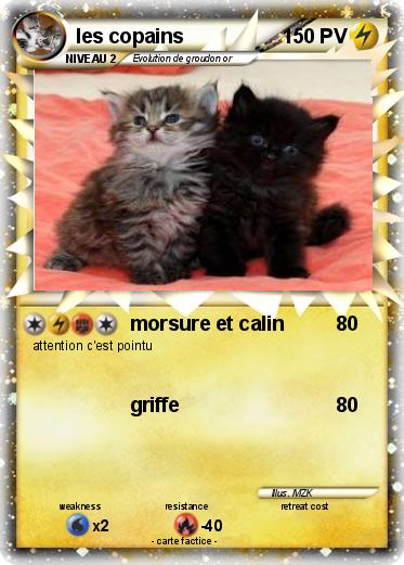 Pokemon les copains