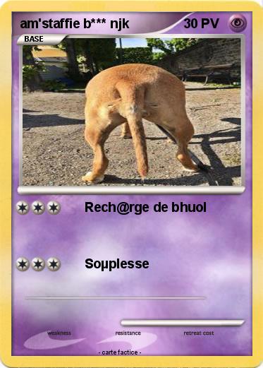 Pokemon am'staffie b*** njk