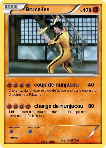 Pokemon Bruce-lee