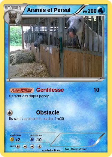 Pokemon Aramis et Persal