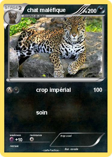 Pokemon chat maléfique