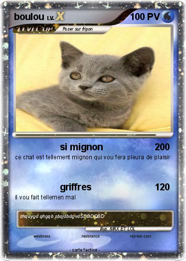 Pokemon boulou