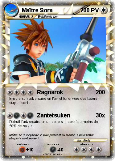 Pokemon Maître Sora