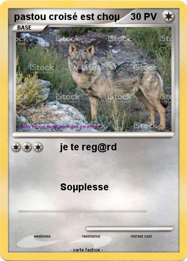 Pokemon pastou croisé est choµ