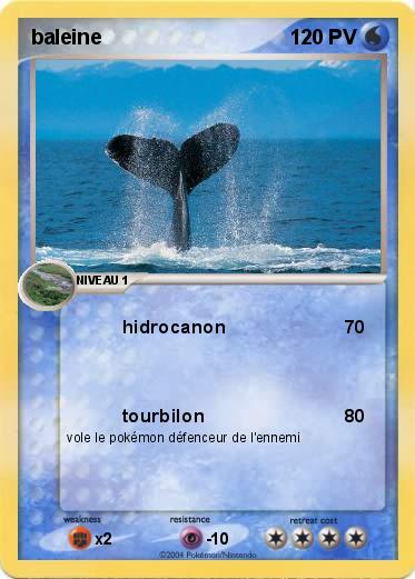 Pokemon baleine