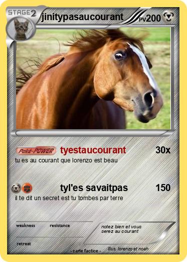 Pokemon jinitypasaucourant