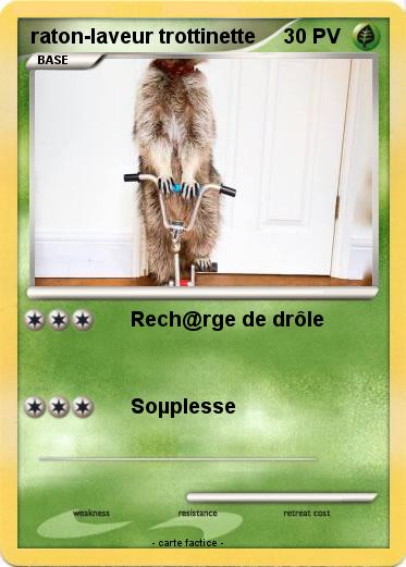 Pokemon raton-laveur trottinette
