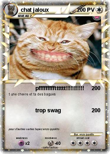 Pokemon chat jaloux