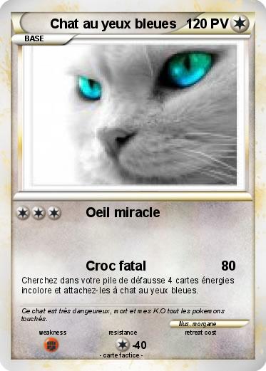 Pokemon Chat au yeux bleues