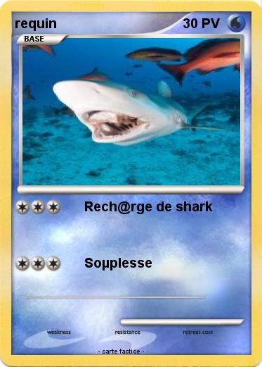 Pokemon requin