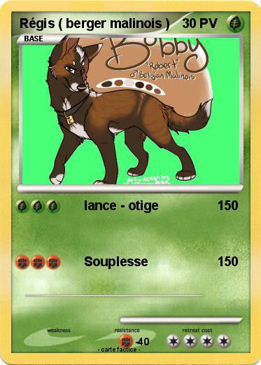 Pokemon Régis ( berger malinois )
