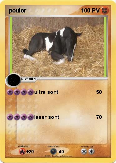Pokemon poulor