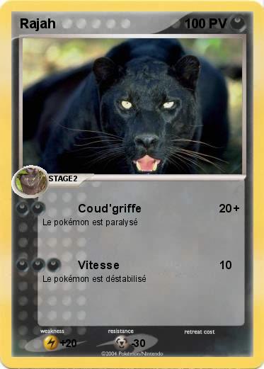Pokemon Rajah