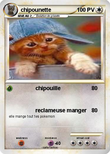 Pokemon chipounette