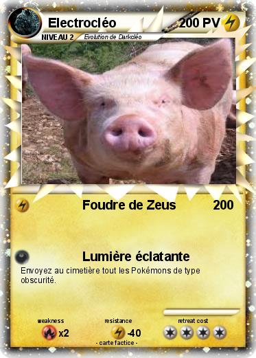 Pokemon Electrocléo