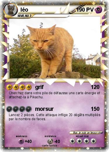 Pokemon léo