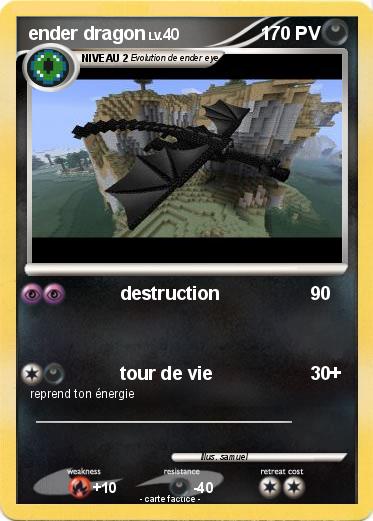 Pokemon ender dragon