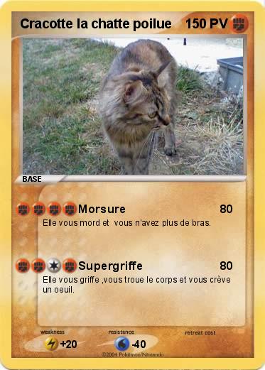 Pokemon Cracotte la chatte poilue