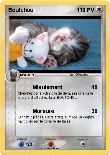 Pokemon Boutchou