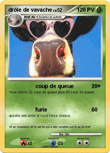 Pokemon drôle de vavache