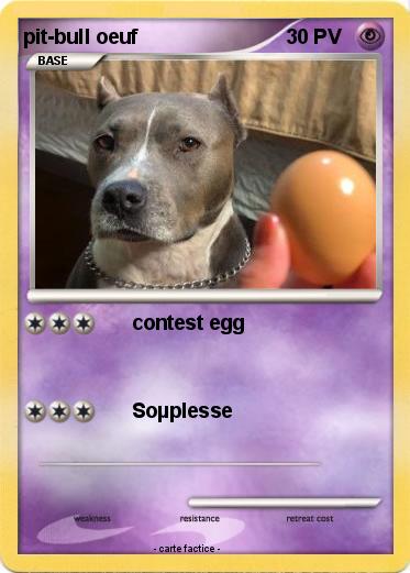 Pokemon pit-bull oeuf