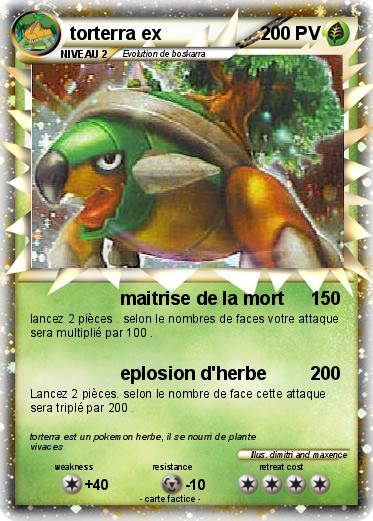 Pokemon torterra ex