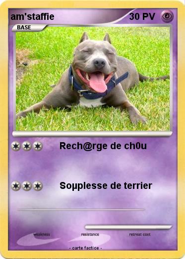Pokemon am'staffie