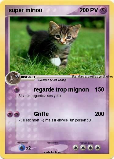 Pokemon super minou