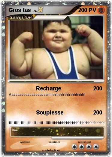 Pokemon Gros tas