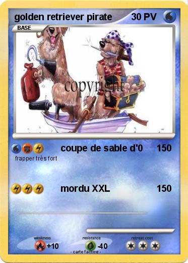 Pokemon golden retriever pirate