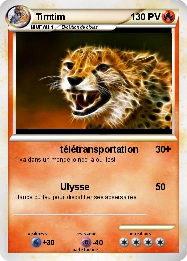 Pokemon Timtim