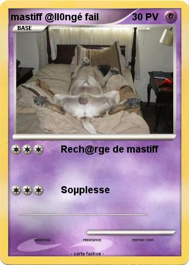 Pokemon mastiff @ll0ngé fail