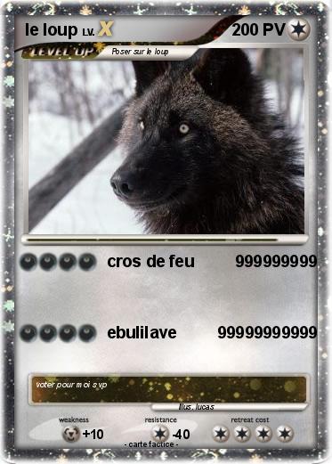 Pokemon le loup