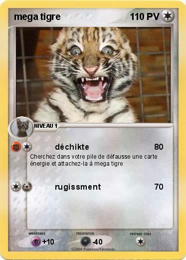 Pokemon mega tigre