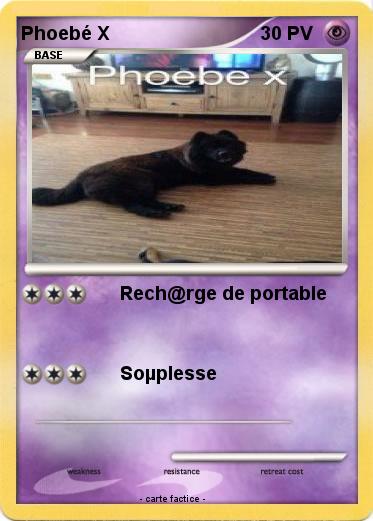 Pokemon Phoebé X