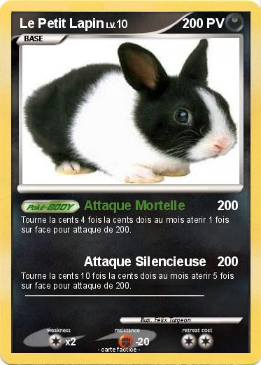 Pokemon Le Petit Lapin