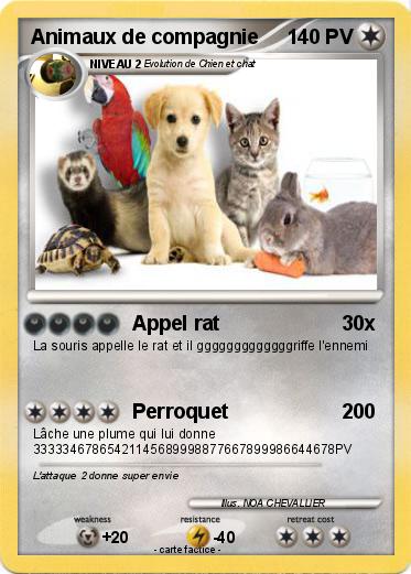 Pokemon Animaux de compagnie