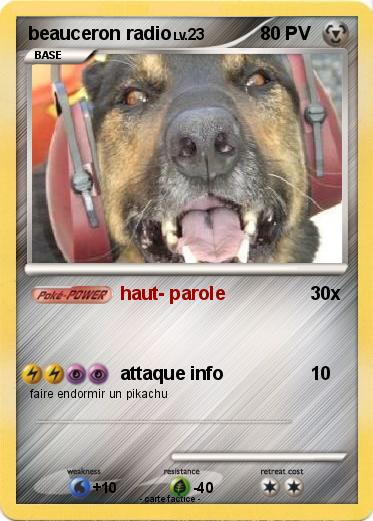 Pokemon beauceron radio