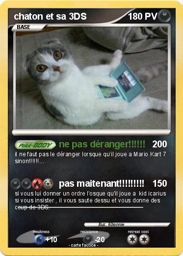 Pokemon chaton et sa 3DS