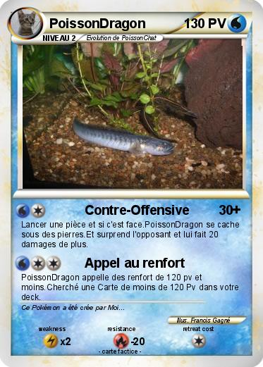 Pokemon PoissonDragon