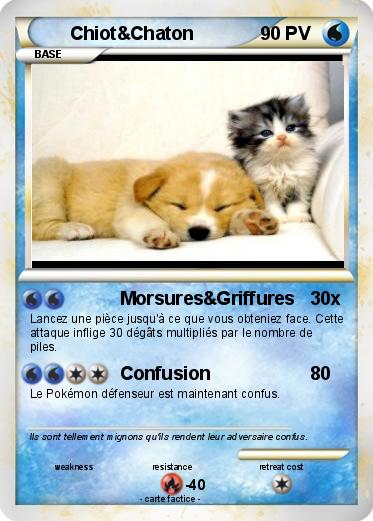 Pokemon Chiot&Chaton