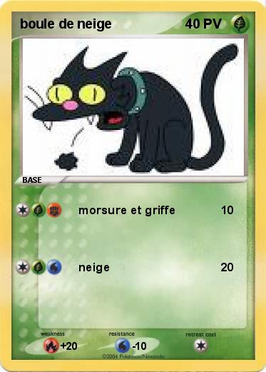 Pokemon boule de neige