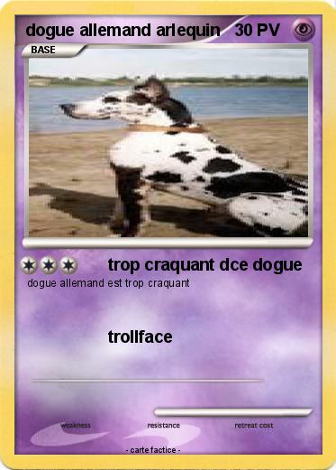 Pokemon dogue allemand arlequin