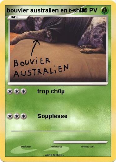 Pokemon bouvier australien en t-shirt