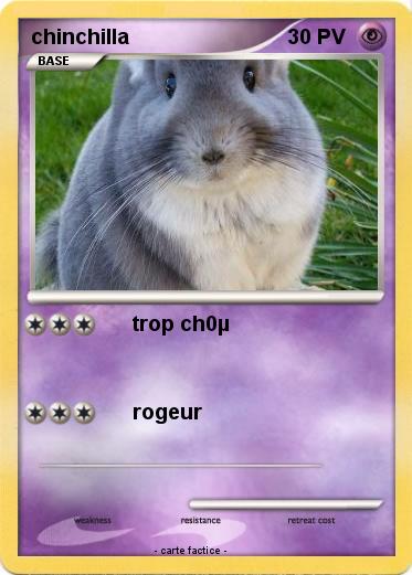 Pokemon chinchilla