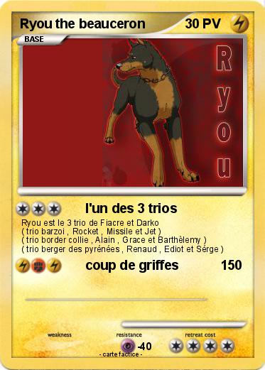 Pokemon Ryou the beauceron